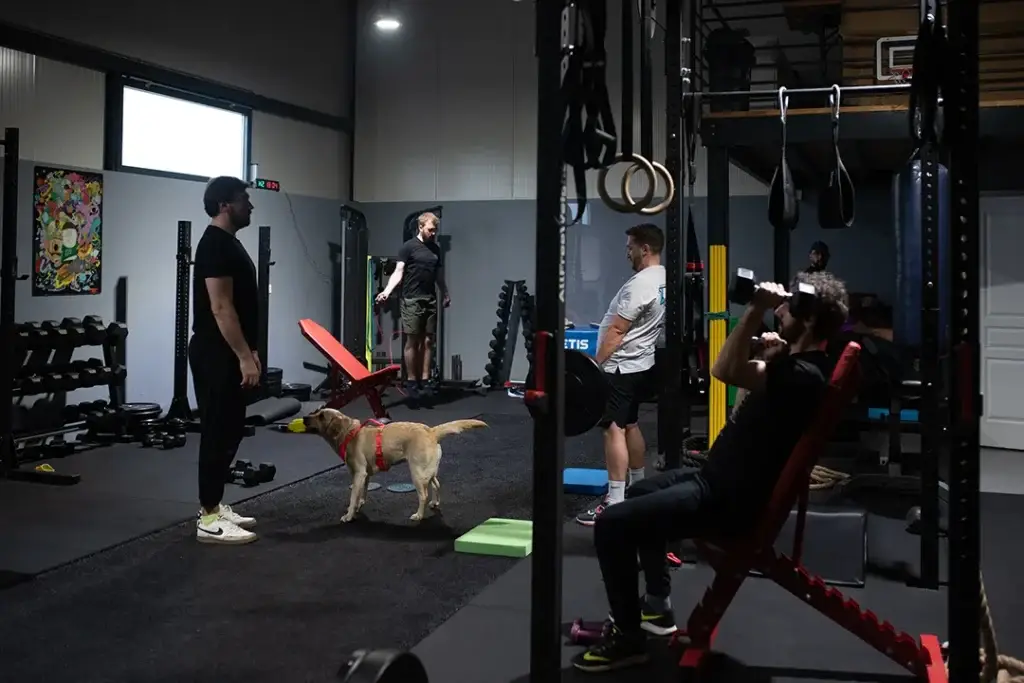 Plusieurs adhérents suivent leur programme personnalisé dans la salle Better Movement
