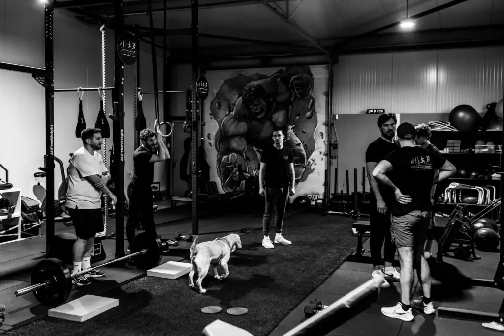 Vue d’une séance de coaching en petit groupe chez Better Movement